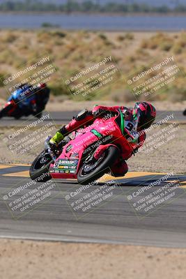 media/Oct-08-2023-CVMA (Sun) [[dbfe88ae3c]]/Race 2 Supersport Middleweight (Shootout)/